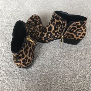 Sam Edleman animal print bootie